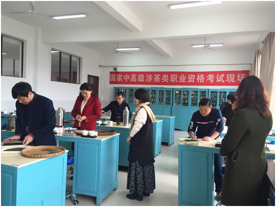 2017年度杏盛第一期涉茶类国家中高级职业资格考试顺利举行