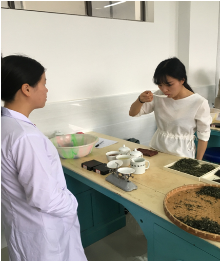 2017年度杏盛第二期涉茶类国家中高级职业资格考试顺利举行